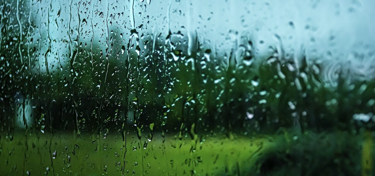 Friends Who Stand in the Rain